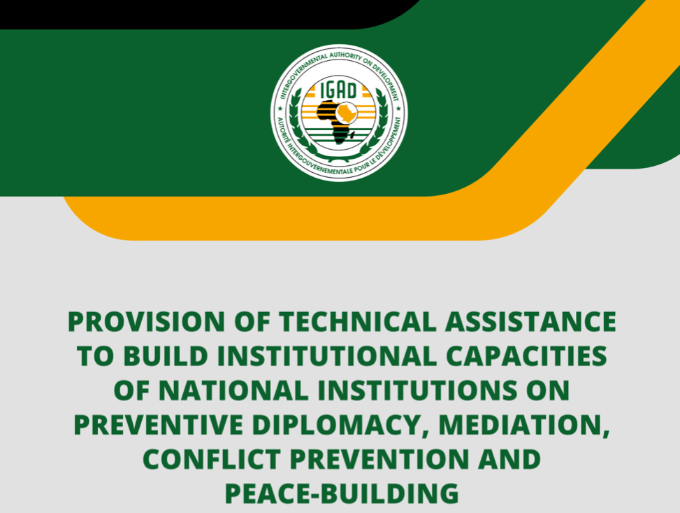 Phase 1 Provision of Technical Assistance to MS'National Institutions